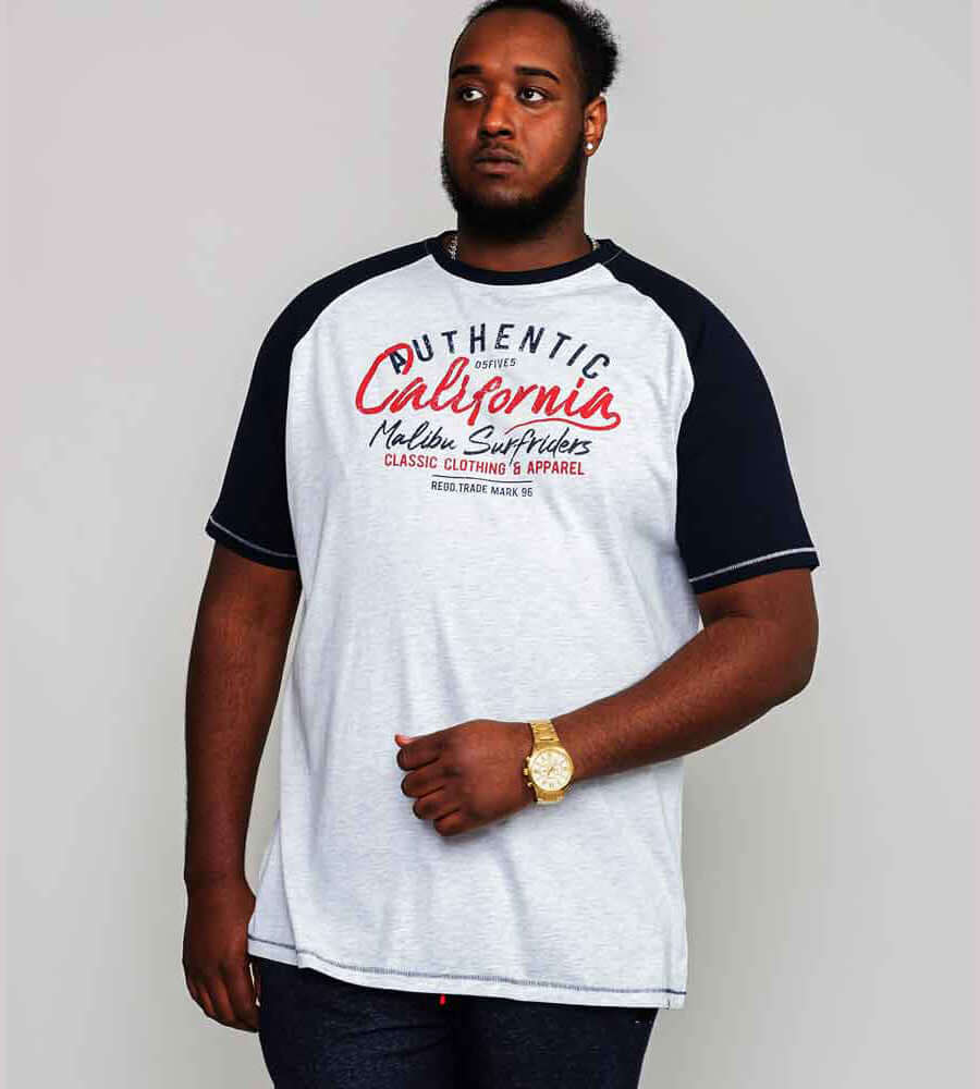 T-shirt met raglanmouwen in heather grijs, authentieke California print, regular fit en grote maten, ideaal voor casual outfits.